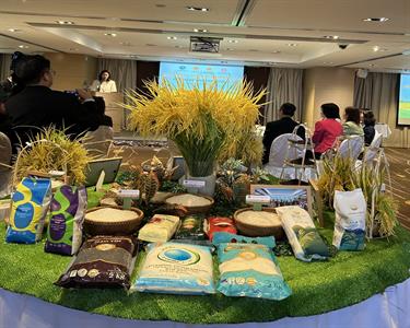 TĂNG CƯỜNG QUẢNG BÁ GẠO VIỆT NAM TẠI ĐẶC KHU HÀNH CHÍNH HONG KONG